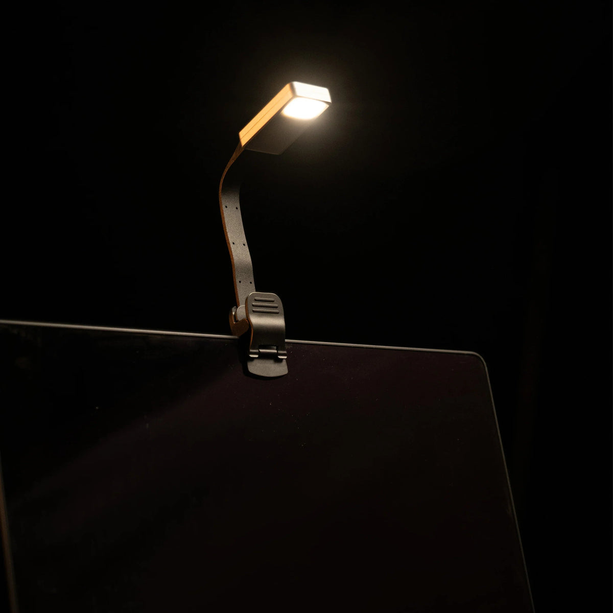 Magnetic eReader reading light with clip mount, lit LED head