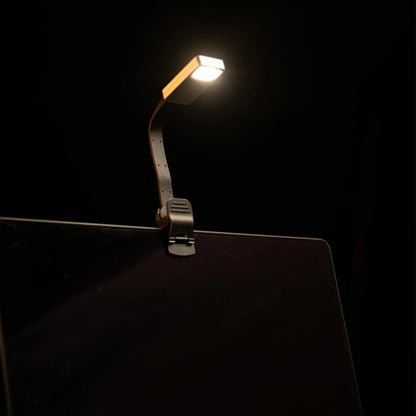 Magnetic eReader reading light with clip mount, lit LED head